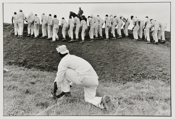 Hoe sharpener and the line, Ferguson - Image 3