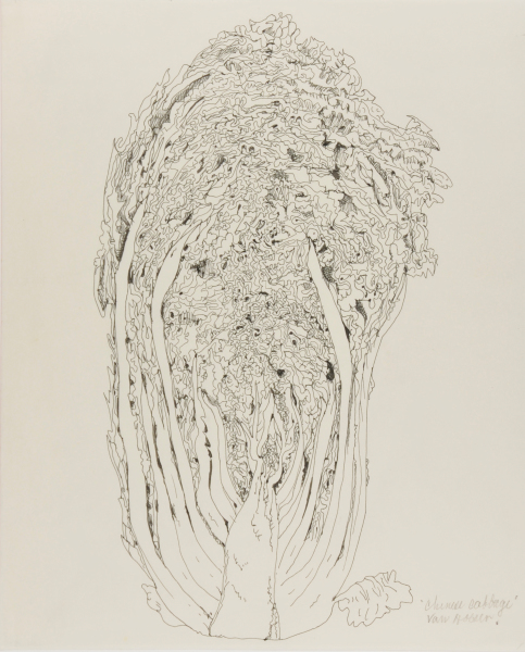 Chinese Cabbage - Image 2