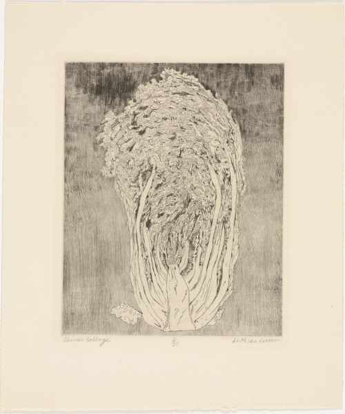 Chinese Cabbage - Image 1