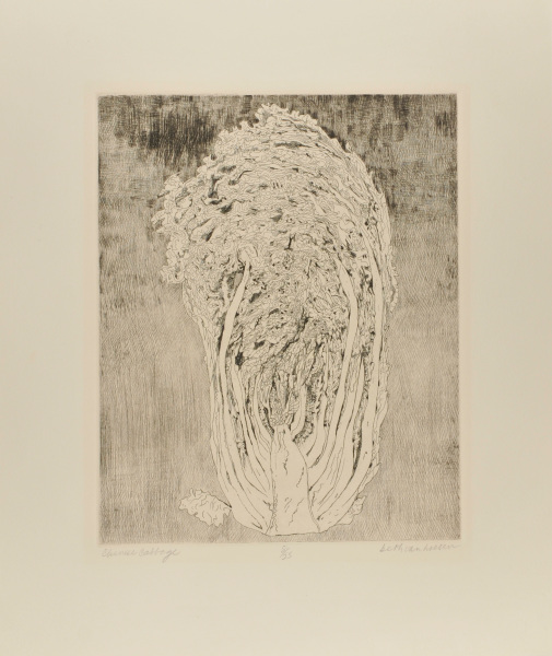 Chinese Cabbage - Image 2