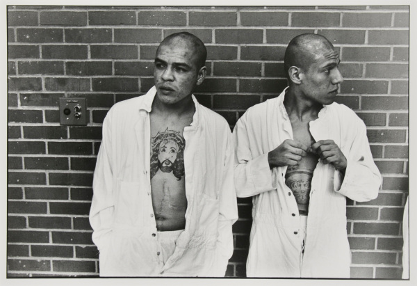 New arrivals from Corpus Christi, Diagnostic - Image 4