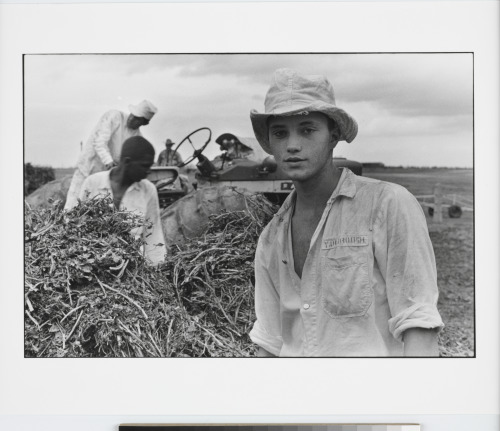 Two years, burglary, Ferguson - Image 4