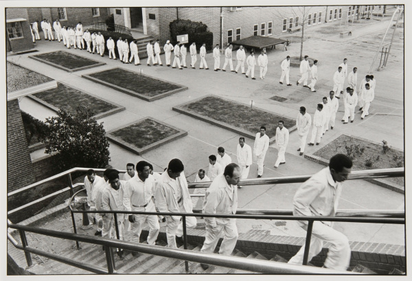 Pieter Stevens van Gunst