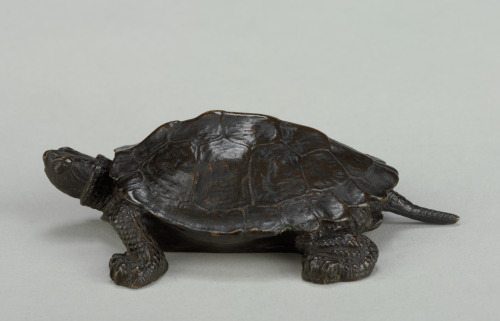 Turtle Number 2 (without base) - Image 3