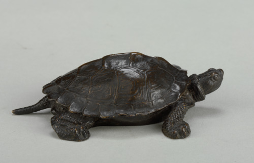 Turtle Number 2 (without base) - Image 2