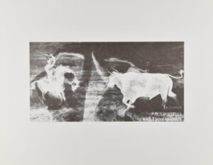 Plate from the portfolio “Are you Rea”