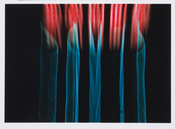 Detroit (M-8) - Image 2