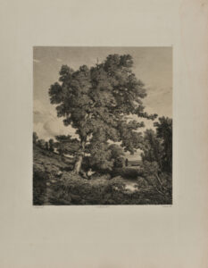 Plate 19 from the series “Artistes contemporains”