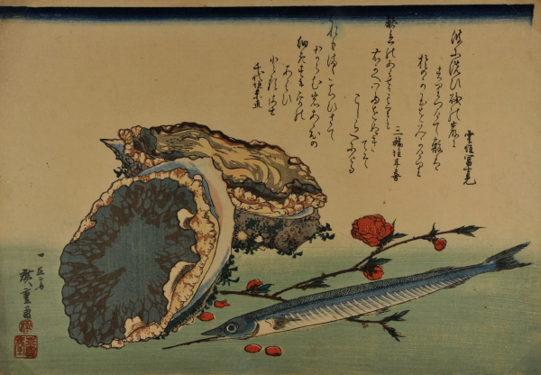 Untitled set of selected fish (Great Fish) - Image 2