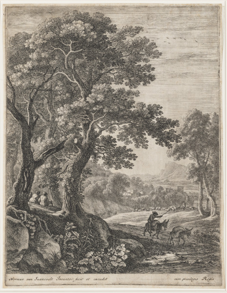 The Mule Driver - Image 2