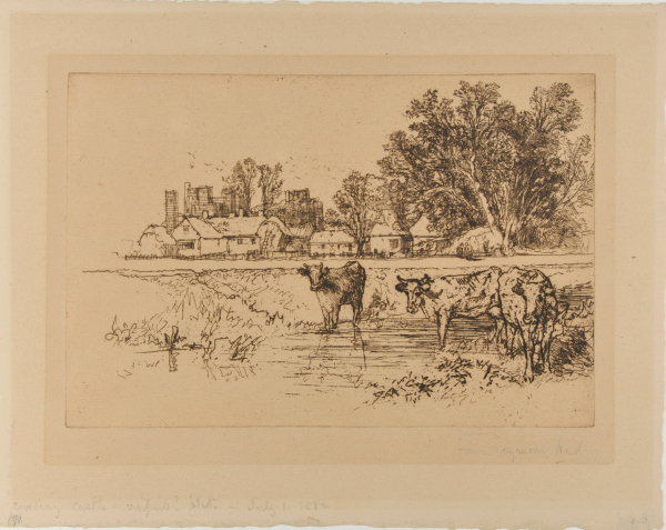 COWDRAY CASTLE, WITH COWS