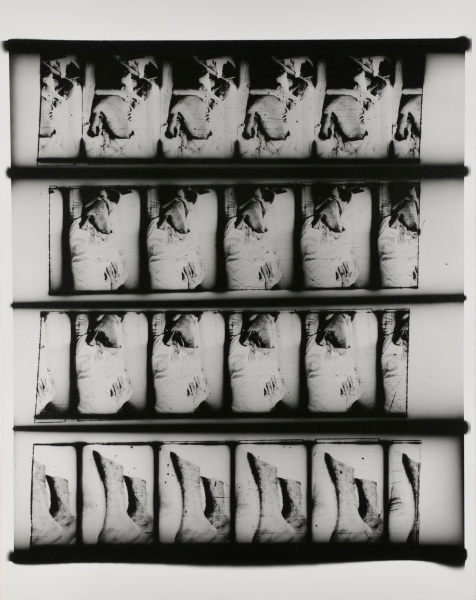 From the portfolio “Teenage Lust”