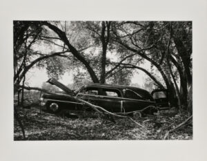 From the portfolio “Teenage Lust”