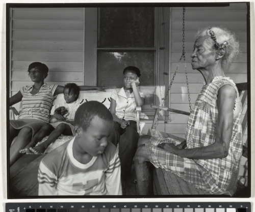 Emma Street, Lakeland, Florida - Image 3