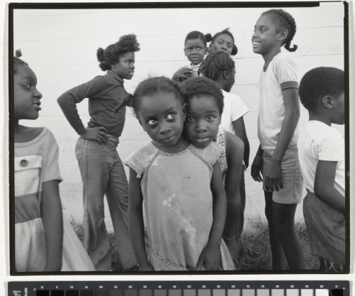 26th Avenue, Tampa, Florida - Image 4