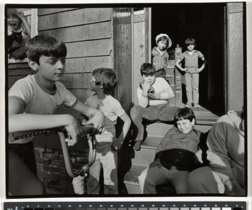 Max Avenue, East Cambridge, Massachusetts - Image 4