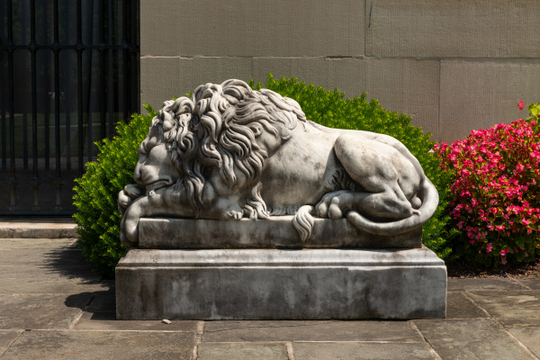 Guardian Lion - Image 5