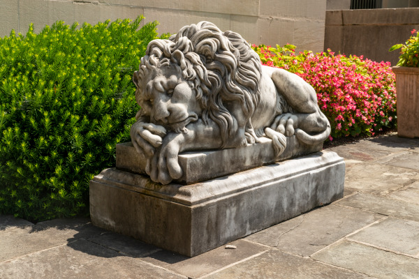 Guardian Lion - Image 4