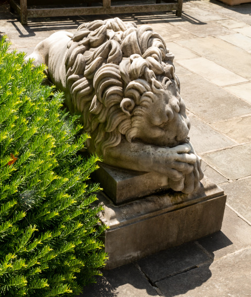 Guardian Lion - Image 3