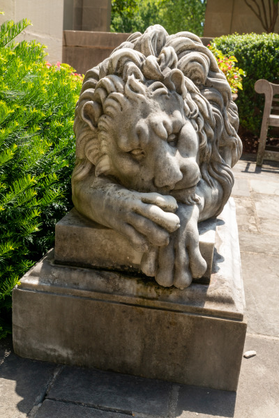 Guardian Lion - Image 2