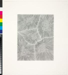 No Man’s Land, state seven