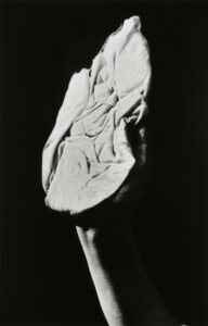 Window Washer, Paris