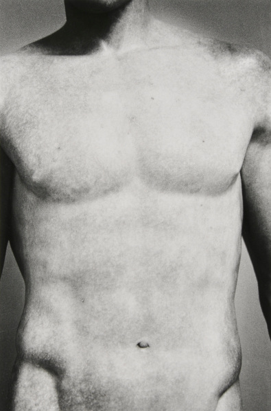 Marcellus, Louvre, Paris - Image 3