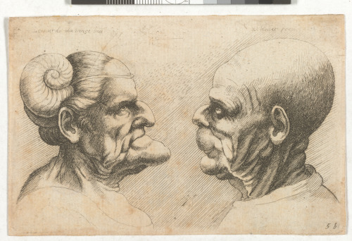 Grotesque Heads