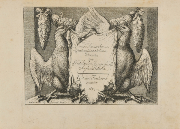 Diversae avium species per Fra Barlow - Image 2