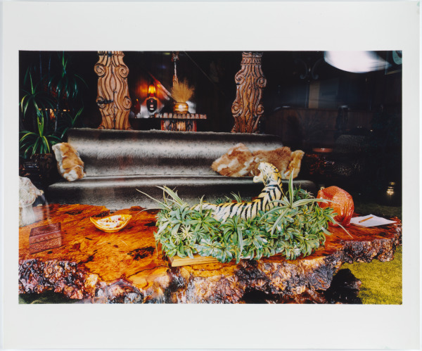 Untitled (Jungle Room) - Image 2