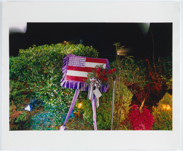 Untitled (Grave) - Image 4