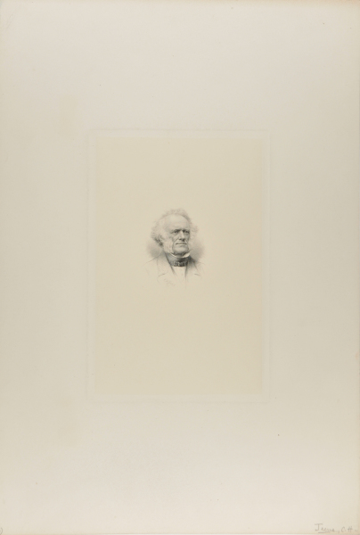 Portrait of Man with Bushy White Hair and Sideburns