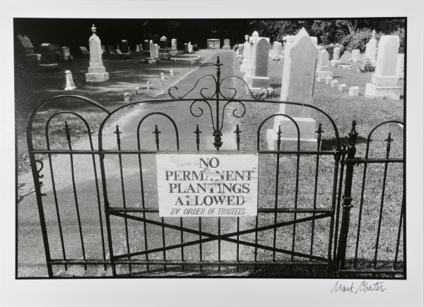 No Permanent Plantings, New York State, 1984 - Image 2