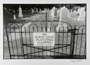 No Permanent Plantings, New York State, 1984