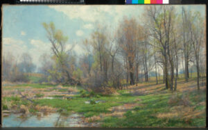 Fields and Woods in Spring