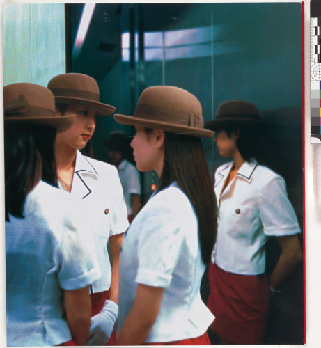 White Casket - Image 5