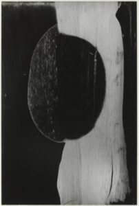 No. 5 from the series “Sound of One Hand Clapping, Sequence 14”