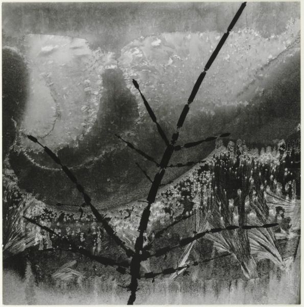 RITUAL BRANCH (72 N. UNION STREET, ROCHESTER)