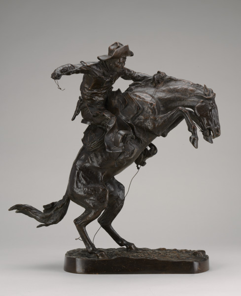 Bronco Buster - Image 7