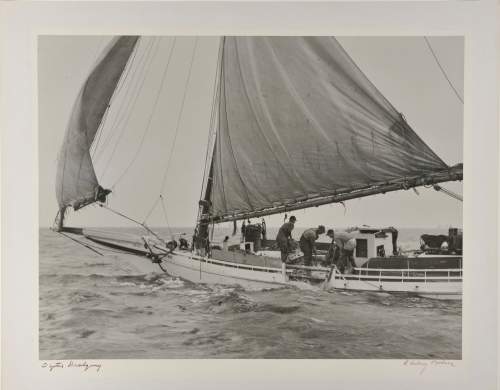 Oyster Dredging - Image 4