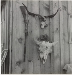 Side of Cates’ New House, Malheur County, Oregon