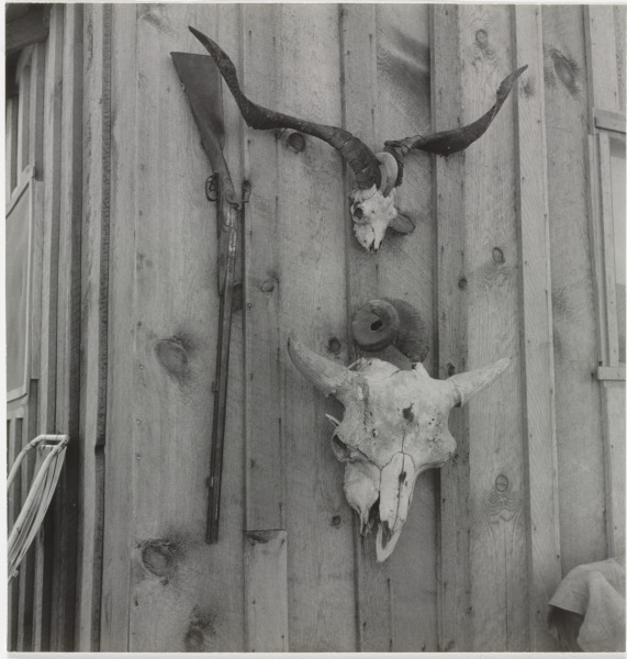 SIDE OF CATES' NEW HOUSE, MALHEUR COUNTY, OREGON