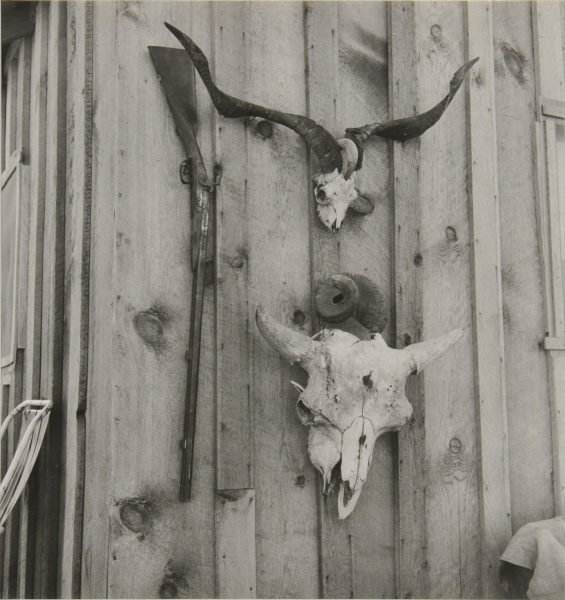 Side of Cates’ New House, Malheur County, Oregon - Image 2