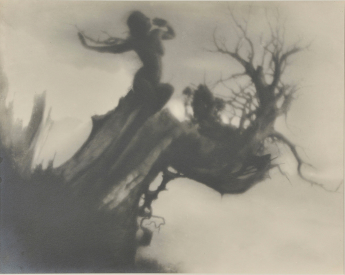 The Storm Tree - Image 2