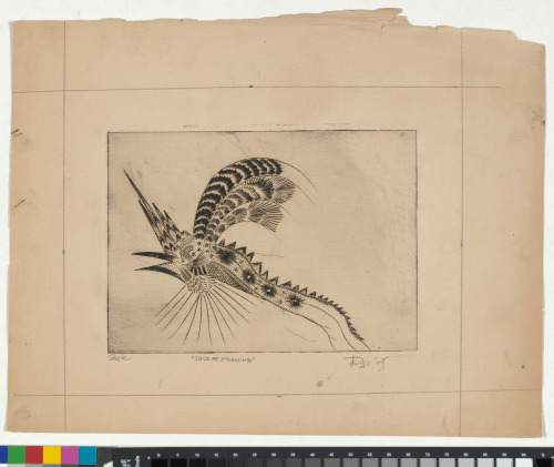 COCK AT MORNING (STATE 1)