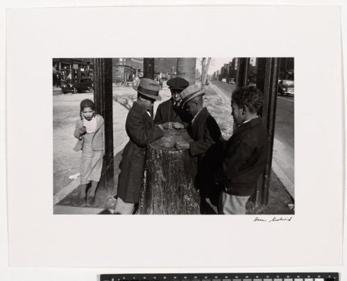 Wishing Tree - Image 3