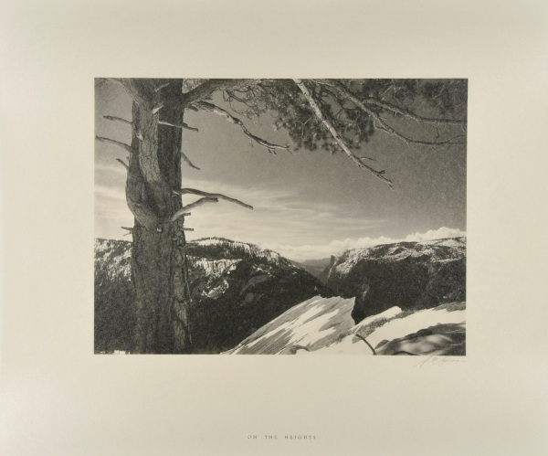 On the Heights - Image 4