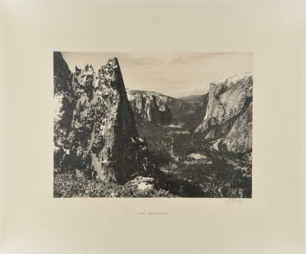 The Sentinel - Image 3