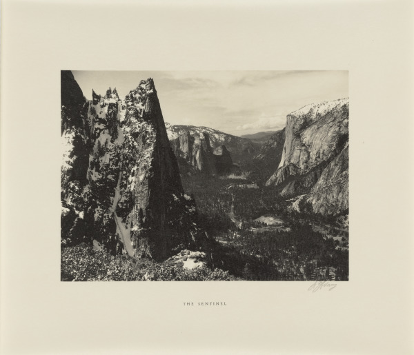 The Sentinel - Image 1