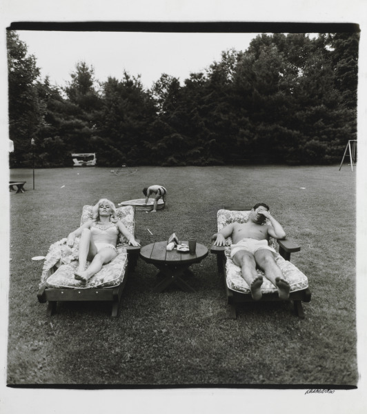A Family on the Lawn One Sunday in Westchester (Suburban), N.Y. - Image 4
